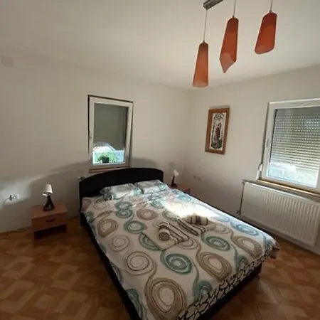 Seosko Domacinstvo Vujic Sokobanja Apartament Resnik