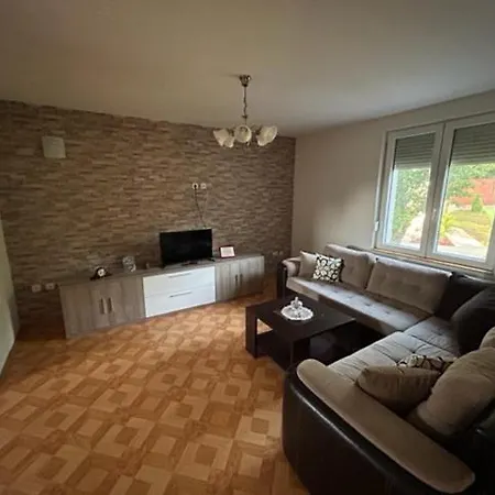 Apartament Seosko Domacinstvo Vujic Sokobanja *