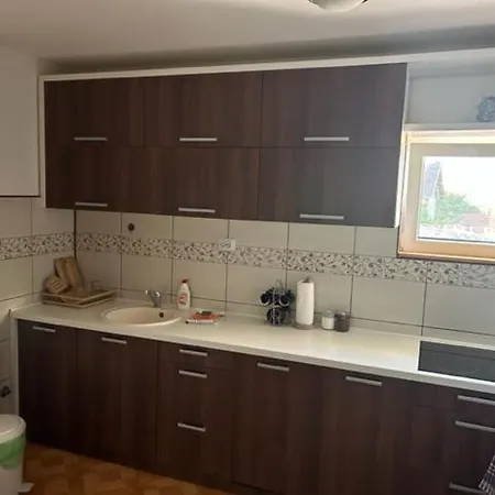 Apartament Seosko Domacinstvo Vujic Sokobanja