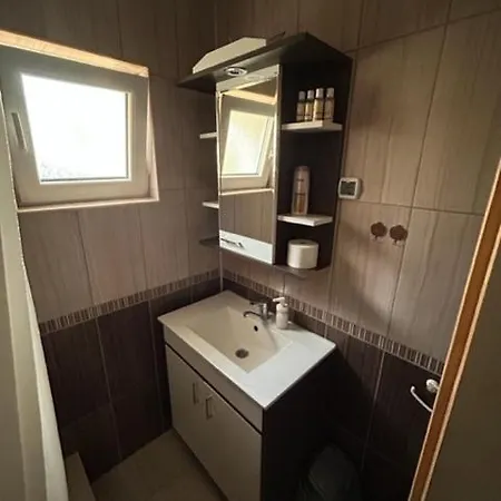 Apartment Seosko Domacinstvo Vujic Sokobanja