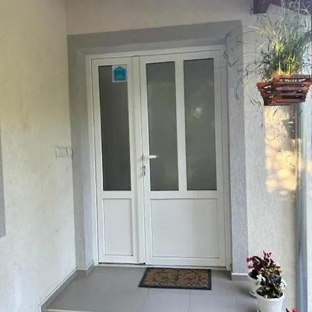 Seosko Domacinstvo Vujic Sokobanja Apartament *