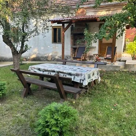 Seosko Domacinstvo Vujic Sokobanja Apartament *