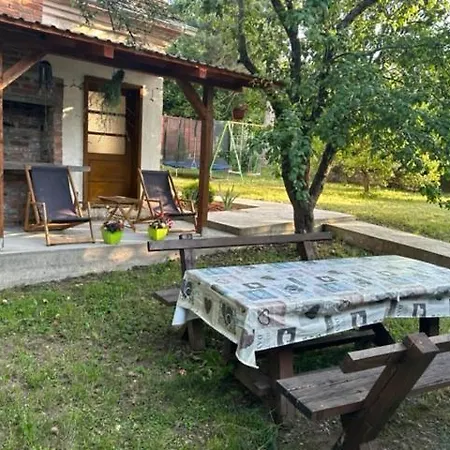 Seosko Domacinstvo Vujic Sokobanja Resnik