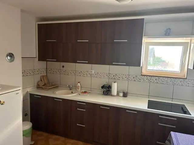 公寓 Seosko Domacinstvo Vujic Sokobanja