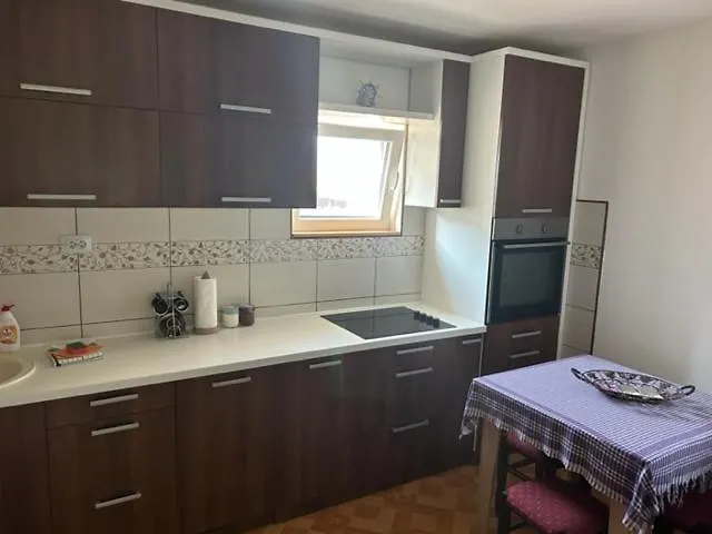 公寓 Seosko Domacinstvo Vujic Sokobanja *