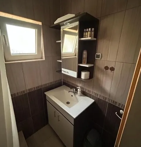 公寓 Seosko Domacinstvo Vujic Sokobanja