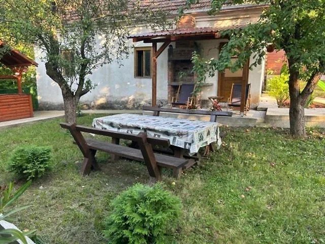 Seosko Domacinstvo Vujic Sokobanja 公寓 *