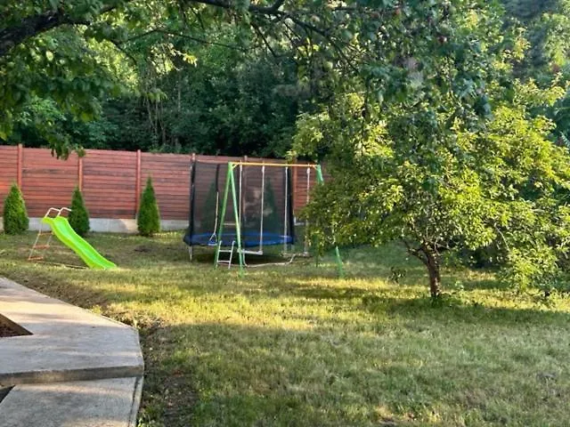 Seosko Domacinstvo Vujic Sokobanja 公寓 *